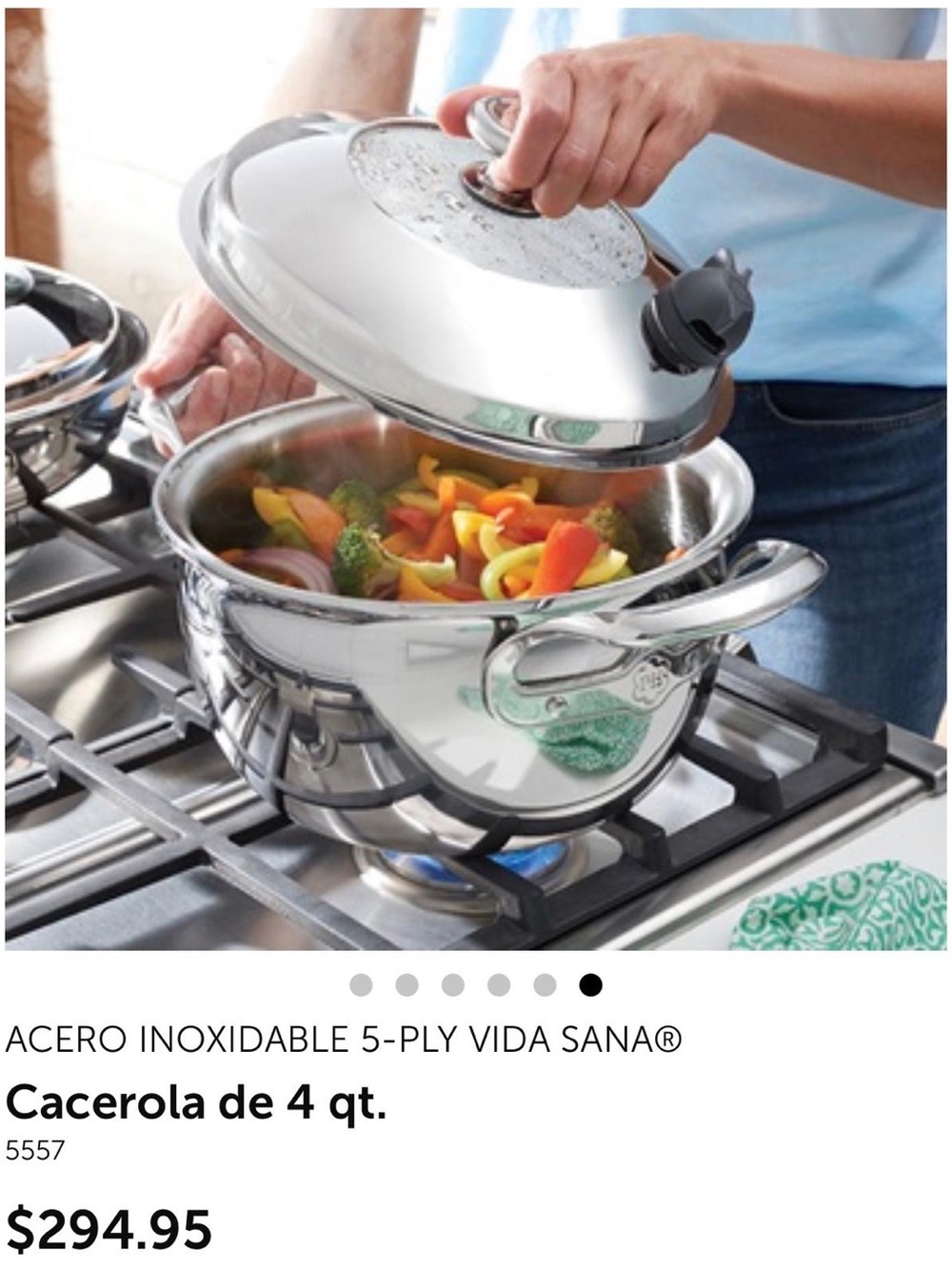 Princess House Stainless Steel 4-Qt Casserole with Lid - Silver